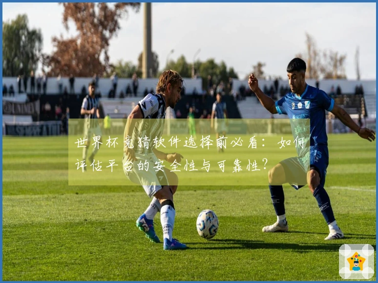 世界杯竞猜软件选择前必看：如何评估平台的安全性与可靠性？