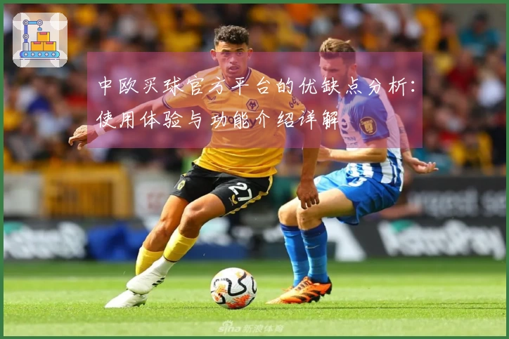 中欧买球官方平台的优缺点分析：使用体验与功能介绍详解
