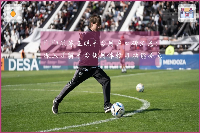 FIFA买球正规平台用户口碑汇总:深入了解平台使用体验与功能亮点