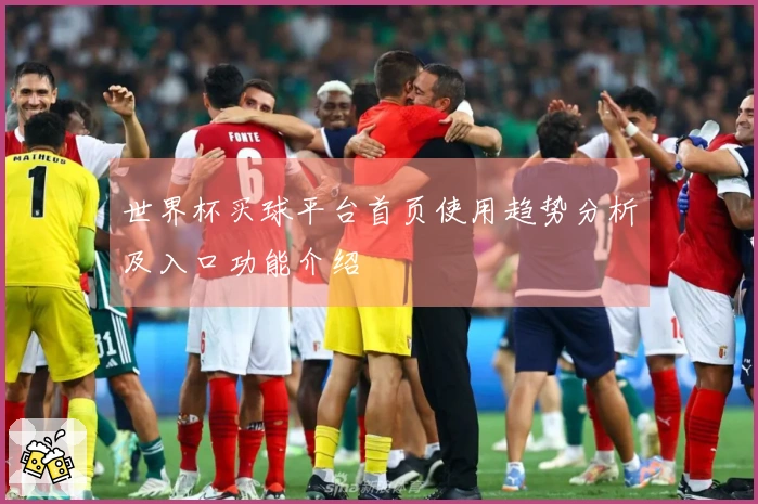 世界杯买球平台首页使用趋势分析及入口功能介绍