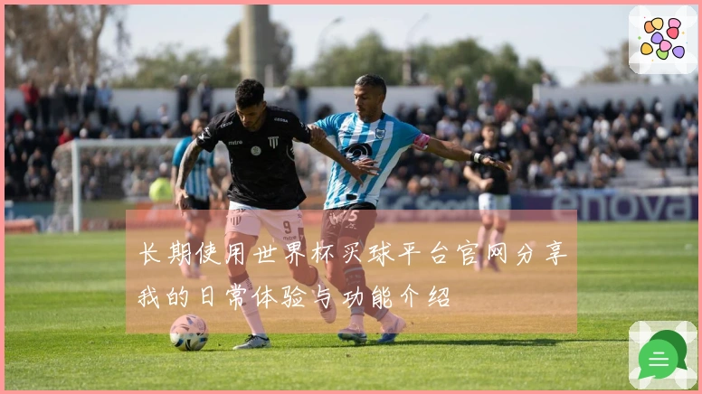 长期使用世界杯买球平台官网分享我的日常体验与功能介绍