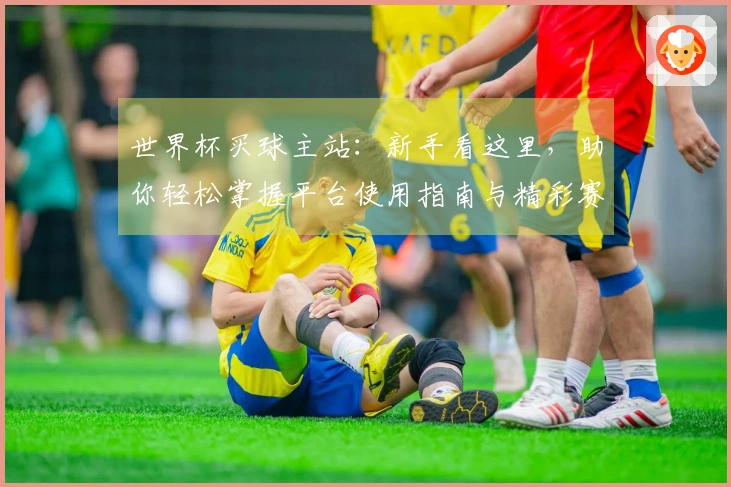 世界杯买球主站：新手看这里，助你轻松掌握平台使用指南与精彩赛事入口