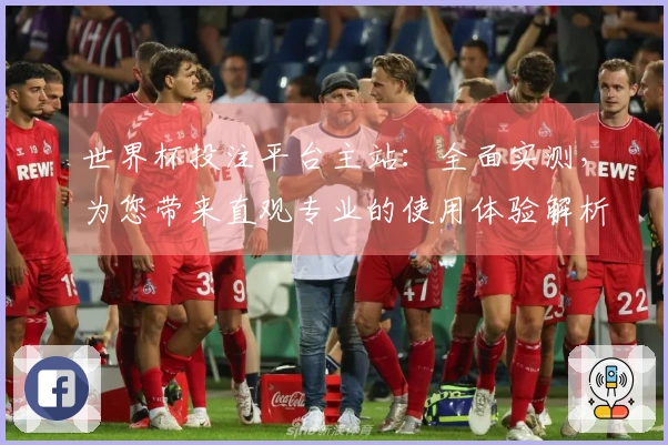 世界杯投注平台主站：全面实测，为您带来直观专业的使用体验解析