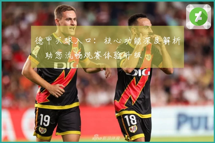德甲买球入口：核心功能深度解析，助您流畅观赛体验升级