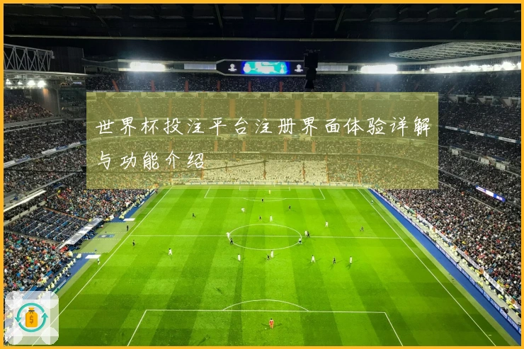 世界杯投注平台注册界面体验详解与功能介绍