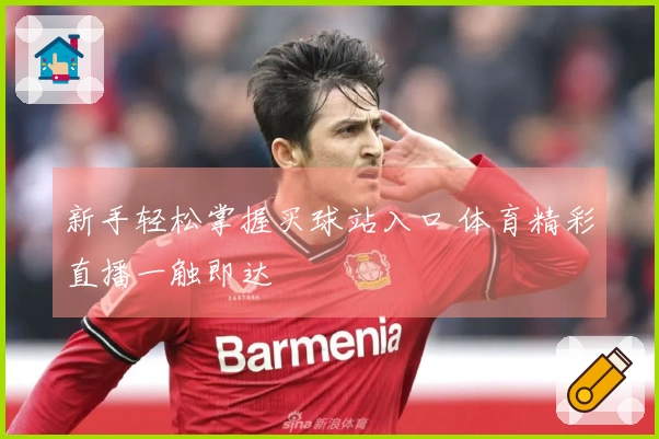 新手轻松掌握买球站入口 体育精彩直播一触即达