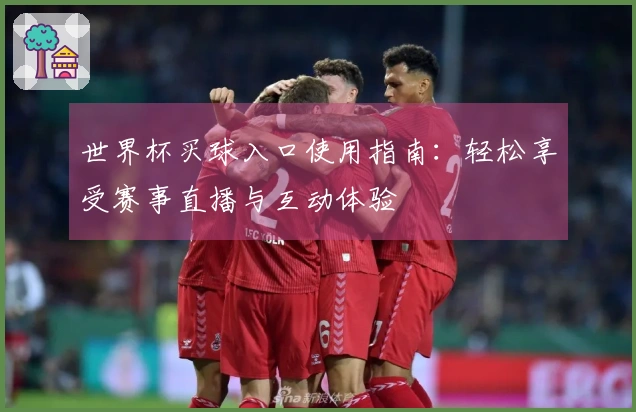 世界杯买球入口使用指南：轻松享受赛事直播与互动体验