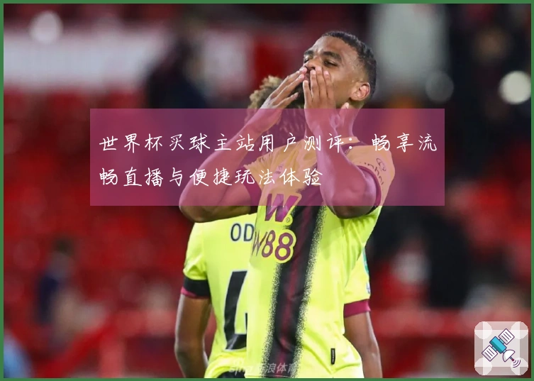 世界杯买球主站用户测评：畅享流畅直播与便捷玩法体验