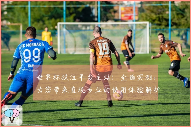 世界杯投注平台主站：全面实测，为您带来直观专业的使用体验解析