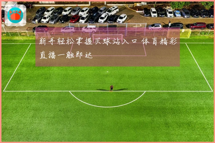 新手轻松掌握买球站入口 体育精彩直播一触即达