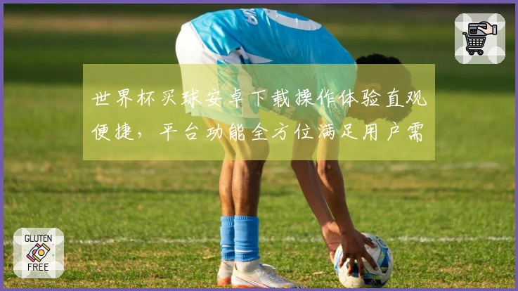 世界杯买球安卓下载操作体验直观便捷，平台功能全方位满足用户需求
